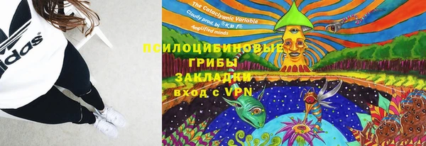 гидропоника Нея