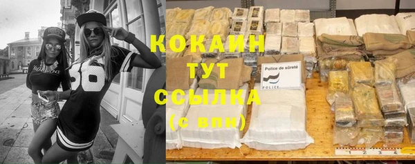 дмт Фёдоровский